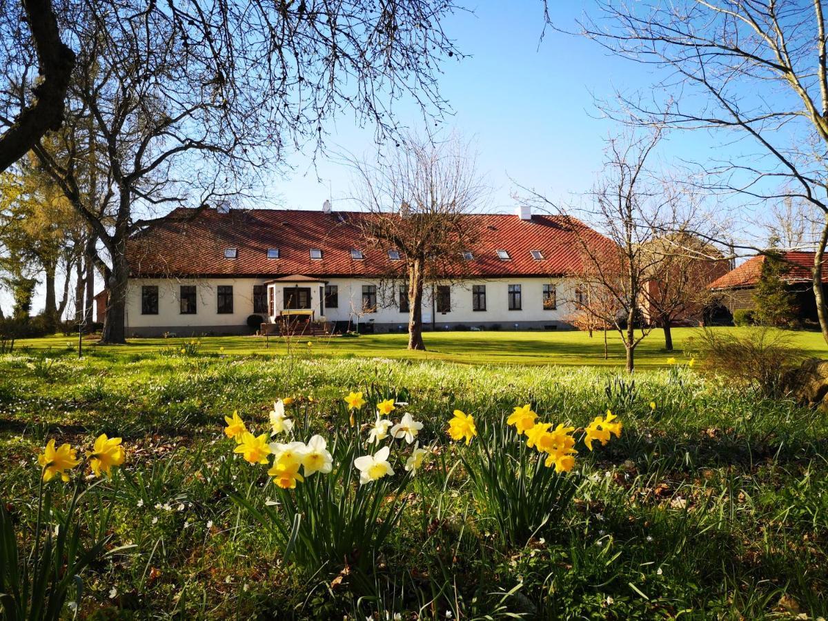 Folwark Goscino-Dwor Bed and Breakfast Εξωτερικό φωτογραφία